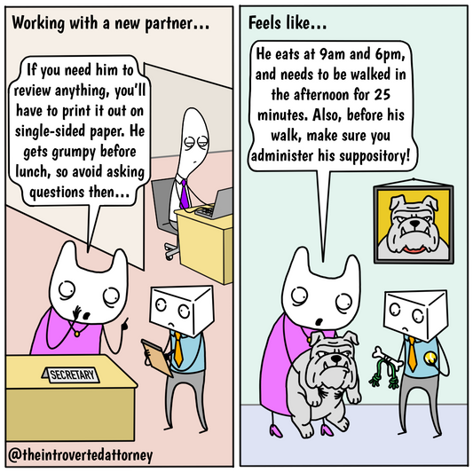 Partner Rules