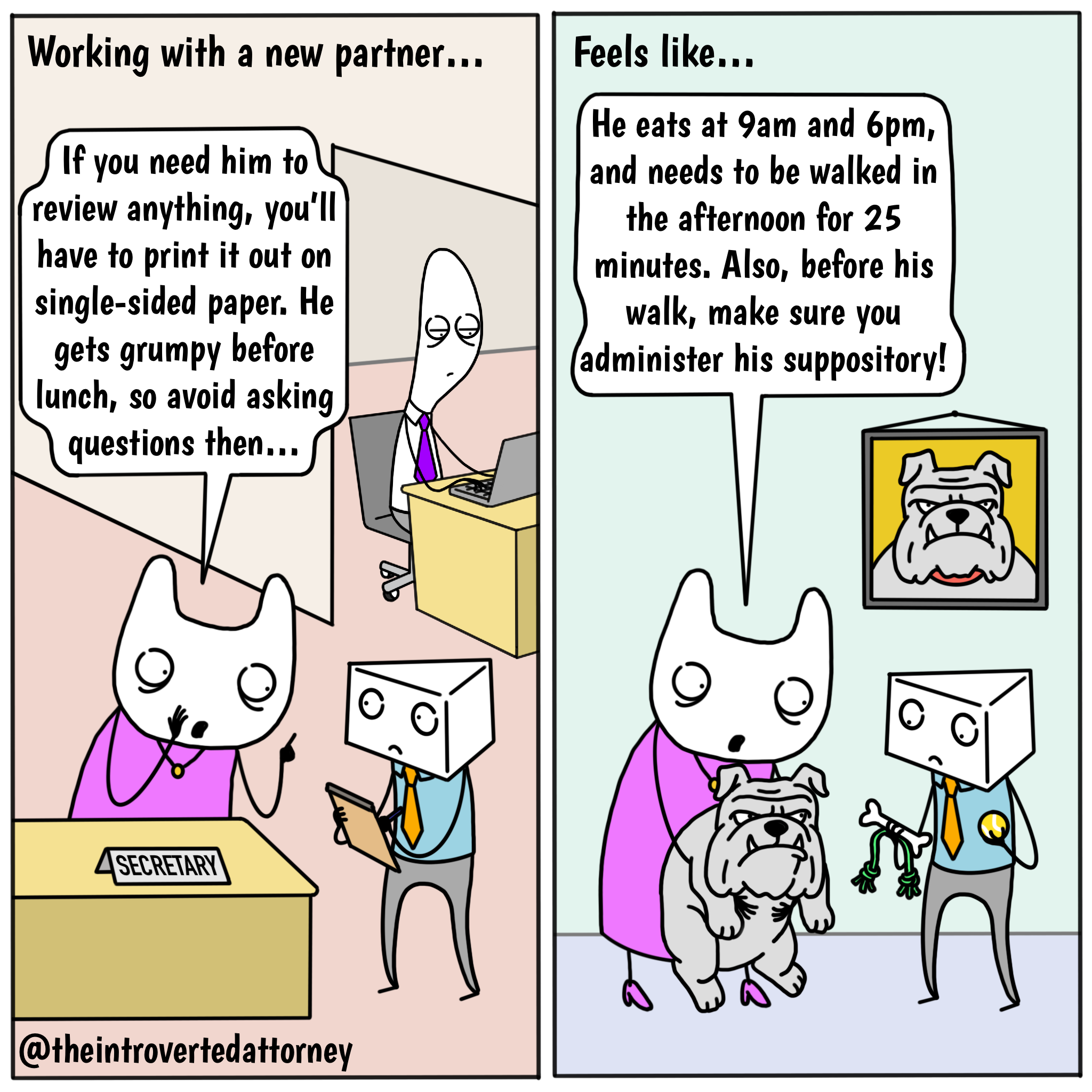 Partner Rules