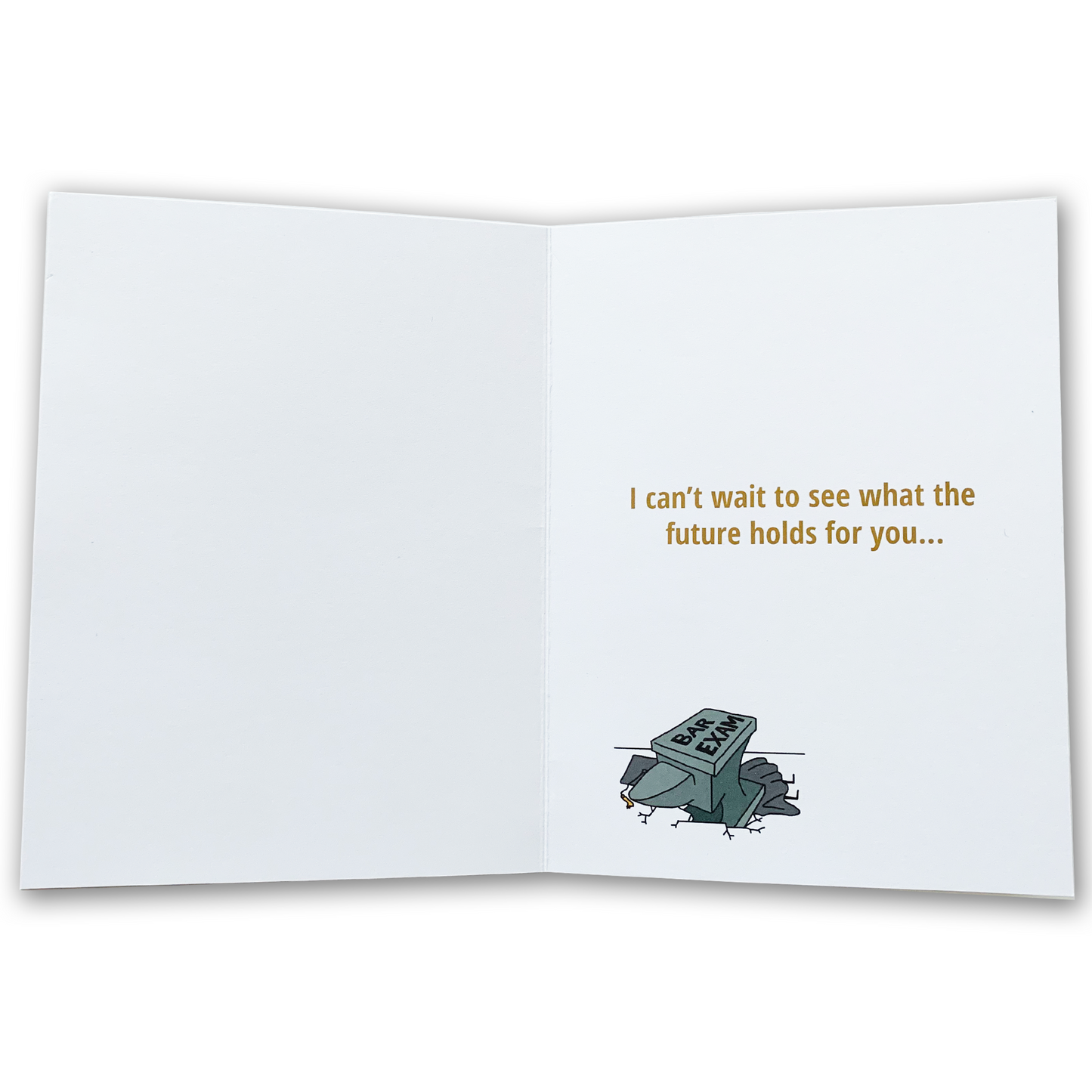 Congrats Law School Survivor | Law School Graduation Card | Future Lawyer | Funny Greeting Card for Law School Graduate