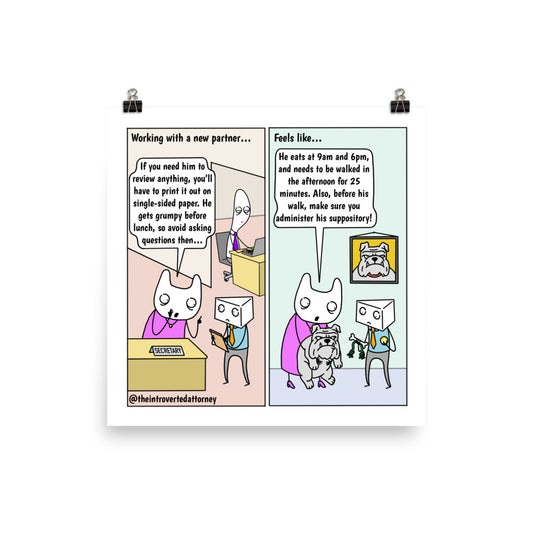 Partner Rules | Best Lawyer Law Firm Gifts | Law Comic Print | Funny Gifts for Attorneys